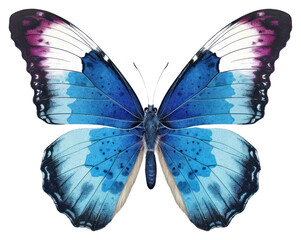 Canvas Print - png butterfly animal insect invertebrate.