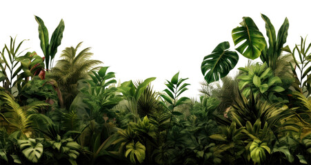 Wall Mural - PNG  Vegetation nature forest plant.