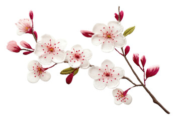 Wall Mural - PNG Blossom flower cherry plant. AI generated Image by rawpixel.