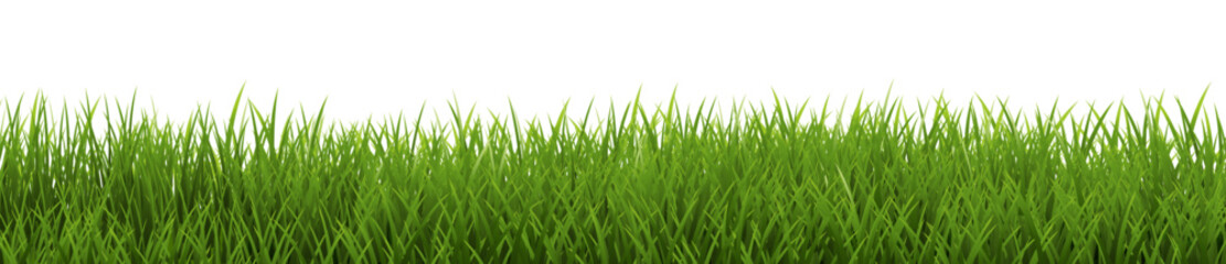 Wall Mural - Green Grass Frame Isolated White Background