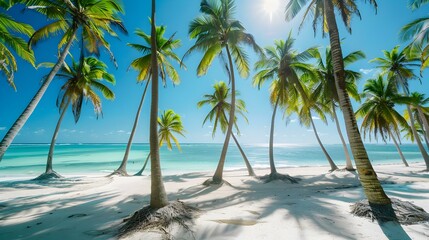 Wall Mural - tropical beach coconut palm image