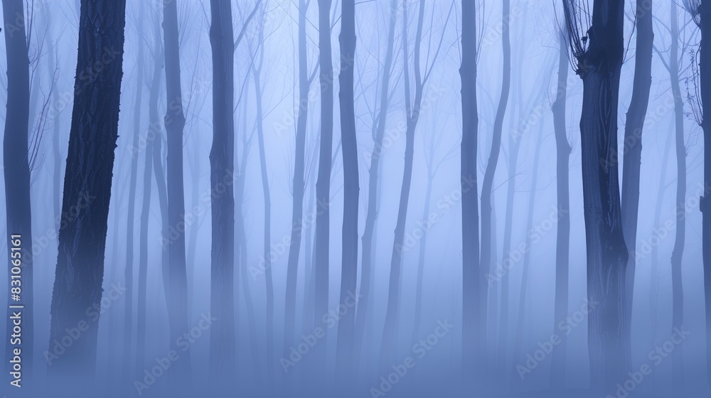 Mystical Foggy Forest with Bare Trees in Blue Hue, Enchanting Winter ...