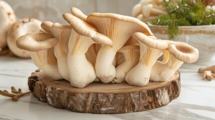Poster - Cluster of king oyster mushrooms growing on wooden logs in a controlled environment, highlighting the versatility and culinary appeal of specialty mushrooms