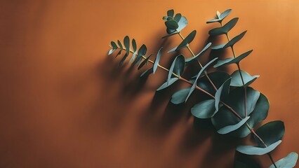 Wall Mural - Eucalyptus branch with fresh leaves on color background top view