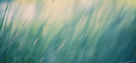 Wall Mural - Wild grasses in a forest. Abstract nature background