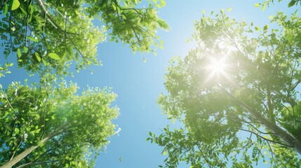 Sticker - Clear sky and fresh foliage under the bright daytime sun