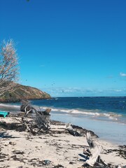 Sticker - Tranquil beach scene with driftwood logs and a bicycle near the water