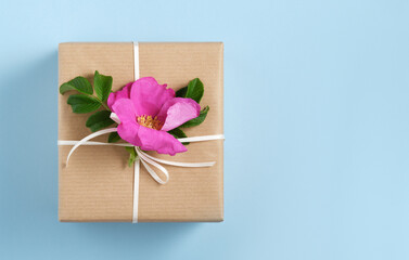 Wall Mural - Brown gift box with rosehip flower and white ribbon on blue background. Space for your text