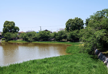 Canvas Print - 晴れの万代池公園