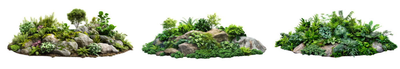Poster - Set of lush green garden with various plants and rocks isolated transparent or white background