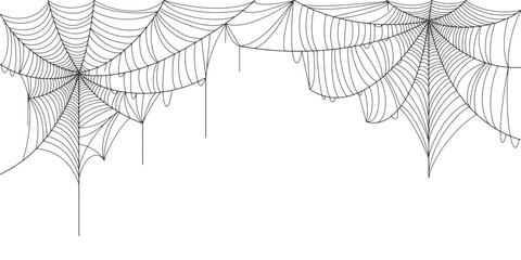 Wall Mural - spider web vector illustration