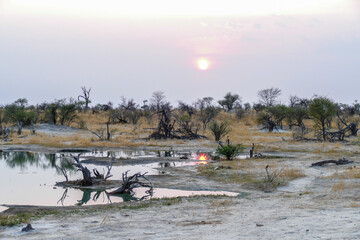 Wall Mural - Botswana