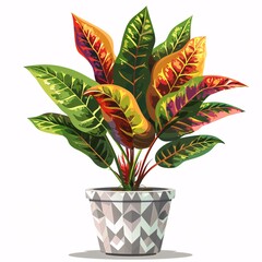 PNG illustration of a leafy croton plant with variegated green and red leaves in a stylish pot on a white background