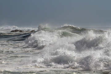 Canvas Print - Sunny rough sea day