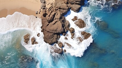 Canvas Print - sea shore 