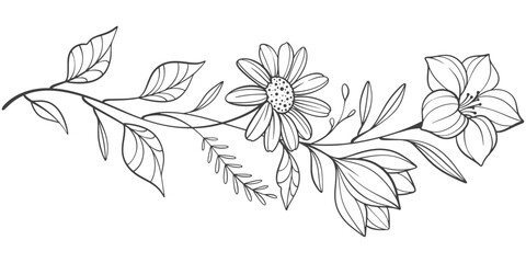 Wall Mural - Sketch Floral Botany Collection. flower drawings. Black and white with line art on white backgrounds. Hand Drawn Botanical Illustrations.Vector.
