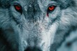 © anatolir - Closeup portrait of an intense redeyed canis lupus wolf in the snowy wilderness, displaying its powerful and enigmatic gaze in a chilling and haunting winter forest setting