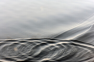 Wall Mural - reflection in water