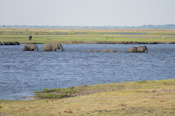 Wall Mural - Botswana