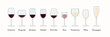 © Octagon - Colorful Wine Glass Guide - A colorful guide with illustrations of various wine glasses filled with wine, showing the appropriate glass shapes for different wine types.