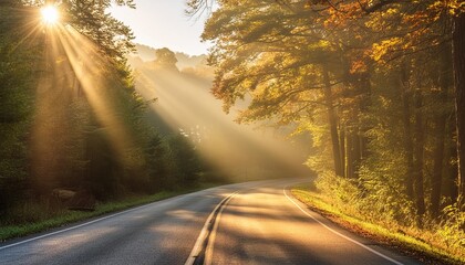 Wall Mural - sunbeams on a country road on a fall morning in dahlonega georgia