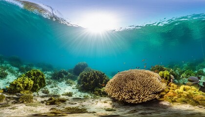 Poster - underwater scene tropical seabed with reef and sunshine