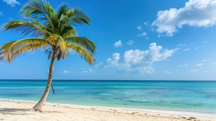 Wall Mural - tropical paradise scene with a lone palm tree on a serene Caribbean beach