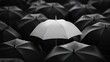 © Mhunzala - One white umbrella in the middle of black umbrellas  rainy weather