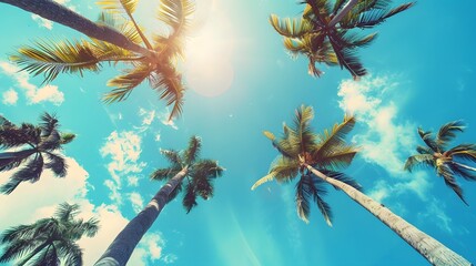 Looking up at blue sky and palm trees, view from below, vintage style, tropical beach and summer background, travel concept. 