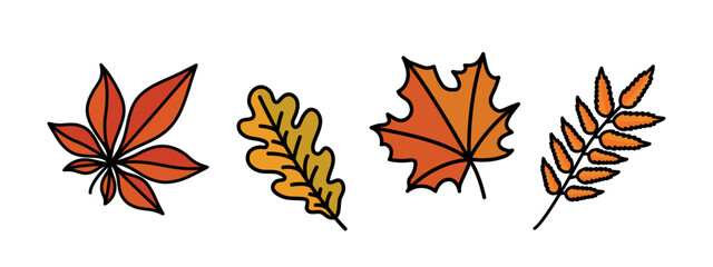 Wall Mural - set of autumn leaves, orange and yellow oak, maple, chestnut, rowan leaf, set of fall vector decorative elements