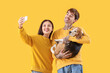 © Pixel-Shot - Young couple with Beagle dog taking selfie on yellow background
