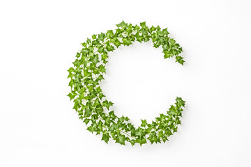 Poster - Green Ivy Leaves Forming The Letter C