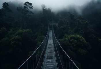 Wall Mural - Nature’s Corridor Suspension Bridge to Lovely Green Woodland Trees