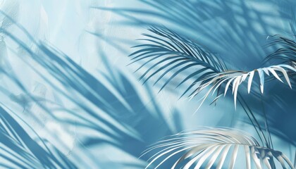 Wall Mural - minimalist abstract background with palm leaf shadows on pastel blue wall digital illustration