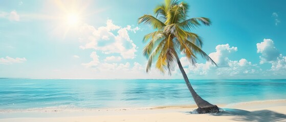 Wall Mural - palm tree on tropical island beach wallpaper