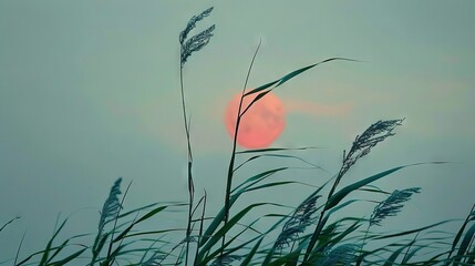 Wall Mural -   The sun is setting in the sky behind tall grass with a bird perched on top