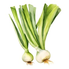 Wall Mural - Vibrant Leek on Clean White Background