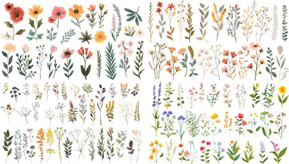 Beautiful floral set with watercolor wild field flowers.  floral watercolor illustration for greeting card, invitation and other printing design. Wild flowers hand drawing vector EPS. 