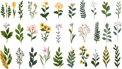 Collection of watercolor wild flowers and leaves with grass. Botanical garden elements set. Watercolor floral vector isolated eps illustration. 