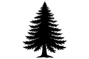 Spruce Tree silhouette vector illustration