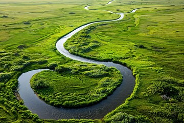 Aerial view of a winding river flowing through vast green grasslands with minimalistic composition and high-definition clarity