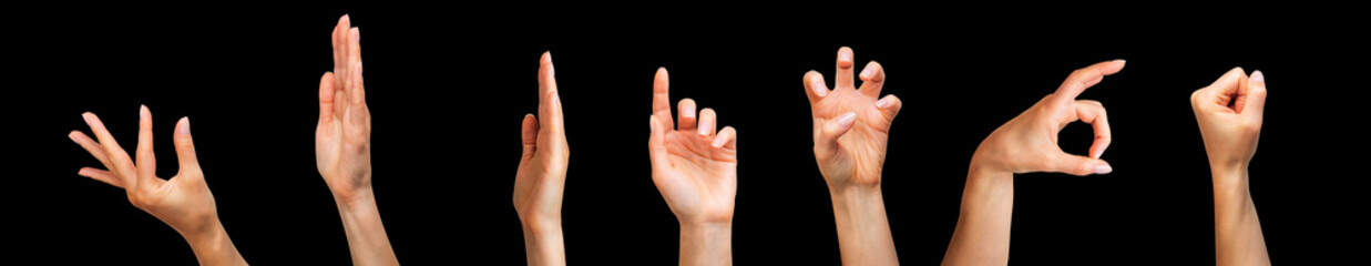 Set of woman hands showing different gestures, pointing and showing signs