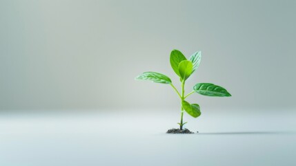Poster - Green leaf plant growth on the coin on white background