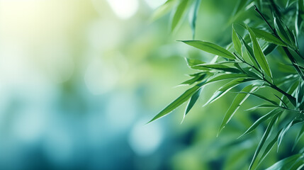 Wall Mural - Bamboo leaves. The sun is shining through the leaves. Leaves are green and lush.