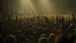 © PLATİNUM - A large group of people are gathered at a concert, raising their hands in excitement and enjoyment of the music