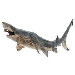 Wall Mural - Basking shark side view full body isolate on transparency background PNG