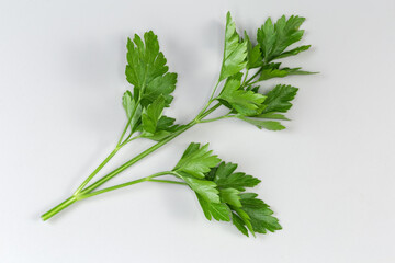 Wall Mural - Twig of fresh parsley on a gray background