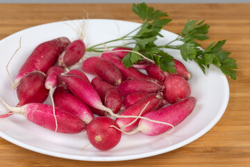 Wall Mural - Red radish and parsley twig on dish, close-up