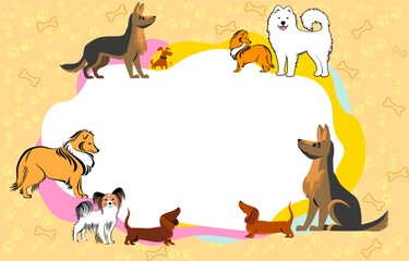 Dog pet care diploma or certificate vector template with cartoon zoo shop items for puppies. Award frame template with dogs. Certificate template. flat vector. Diploma of dog show. Best of the Breed