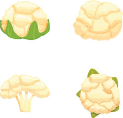 Poster - Vibrant and detailed vector illustration collection of colorful cauliflower. A healthy and organic vegetable. Isolated on a white background